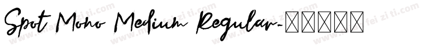 Spot Mono Medium Regular字体转换
